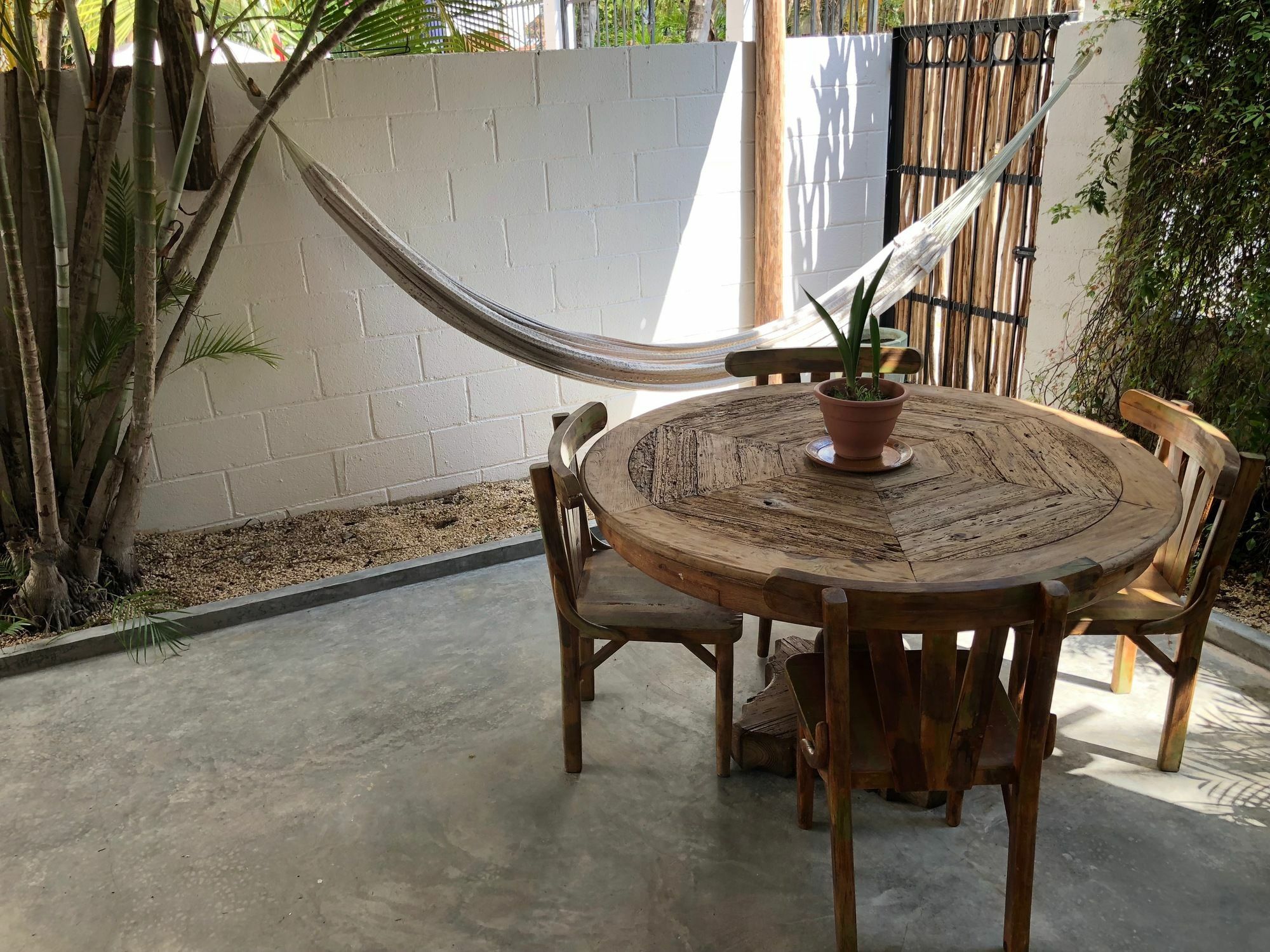 Casa La Palma B&B Πλάγια Ντελ Κάρμεν Εξωτερικό φωτογραφία